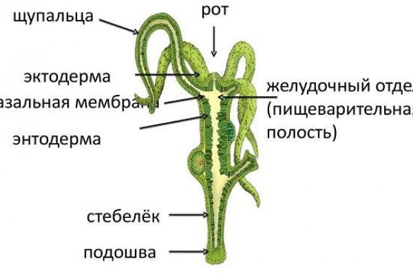 Зеркало тор браузера