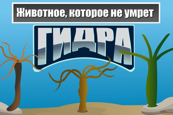 Кракен через тор